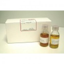 PBS (PHOSPHATE BUFFERES SALINE) 10 x 100ML
