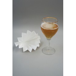 FILTRE PLISSE POUR BRASSERIE Ø320MM XILAB® PACK 100 UNITES