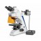MICROSCOPE FLUORESCENT 4x 10x 20x 40x 100x OBN 142 KERN MICROSCOPE FLUORESCENT 4x 10x 20x 40x 100x OBN 142 KERN