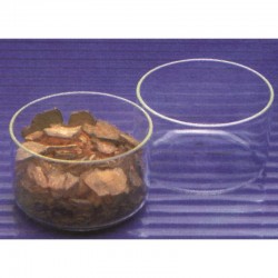 CRISTALLISOIR EN QUARTZ SANS BEC 60ML Ø 60MM HAUT 35MM x 1